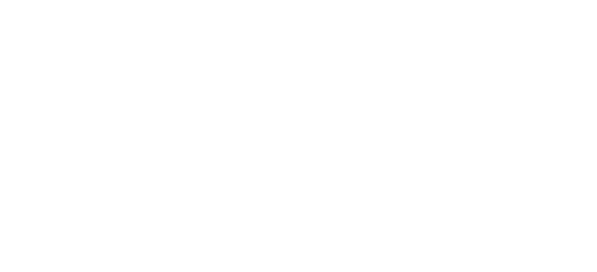 Trio Hub